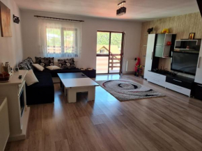 Cosmin Home